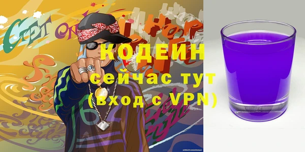 спайс Корсаков