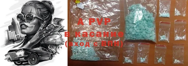 спайс Корсаков